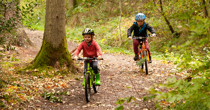 two boys riding bikes in Hamsterley Forest, County Durham.